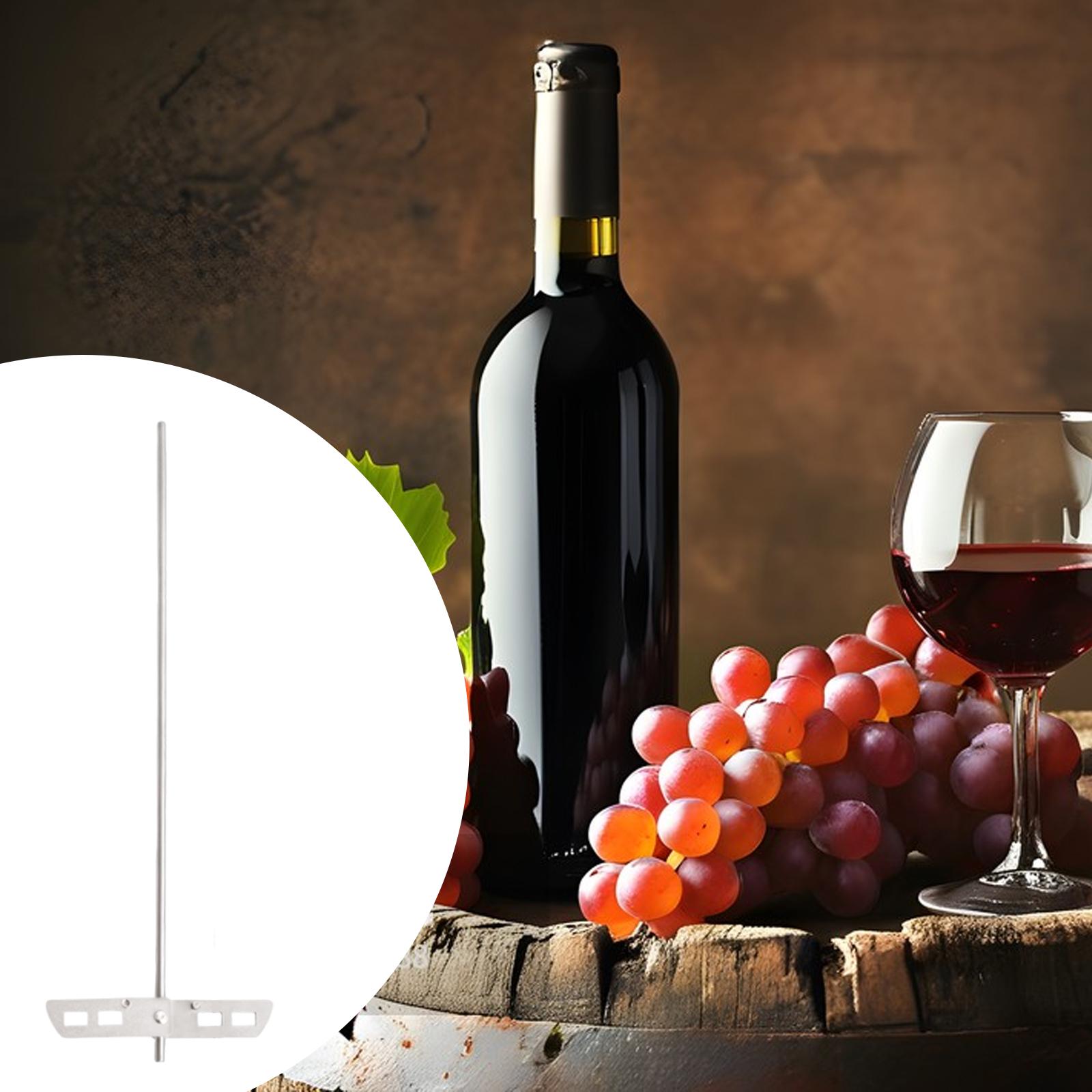 Agitateur de brassage artisana - Wine To Beer avis et prix