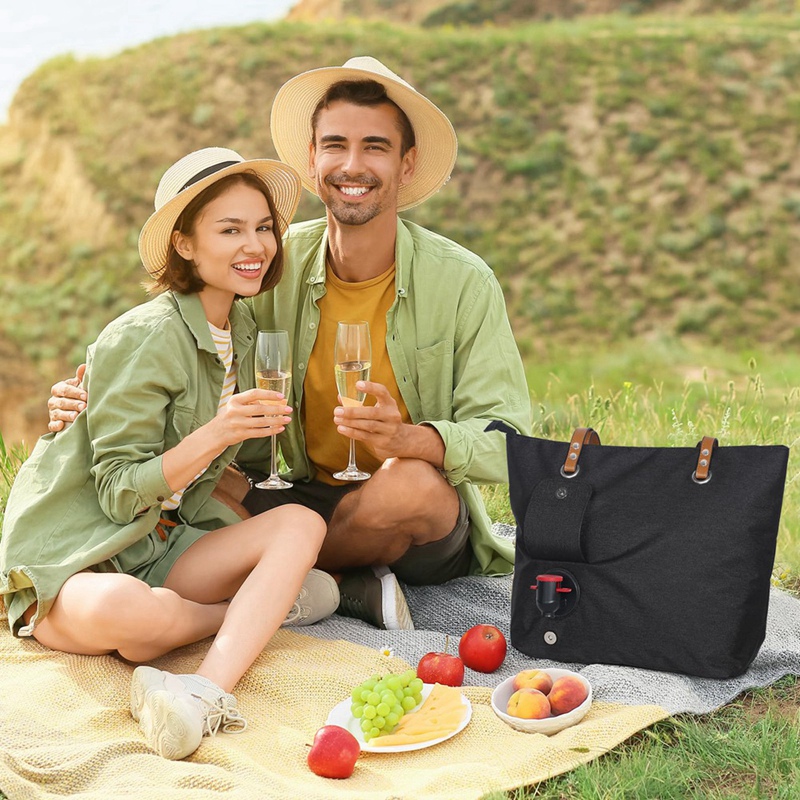 Sac fourre-tout à vin chaud, r - Wine Beer Refrigerator avis et prix